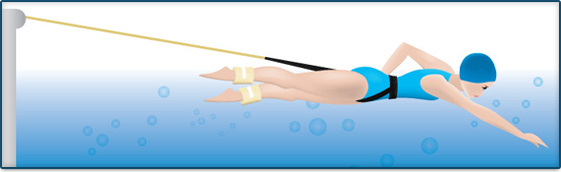 Swim Bungee Trainer Training Belt Resistance Leash Stationary Swimming System UK 